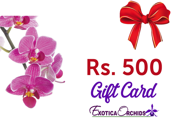 Gift Card of Rs.500/-