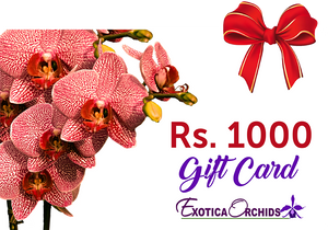 Gift Card of Rs.1000/-