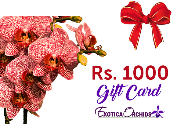 Gift Card of Rs.1000/-