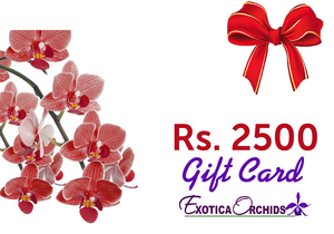 Gift Card of Rs.2500/-