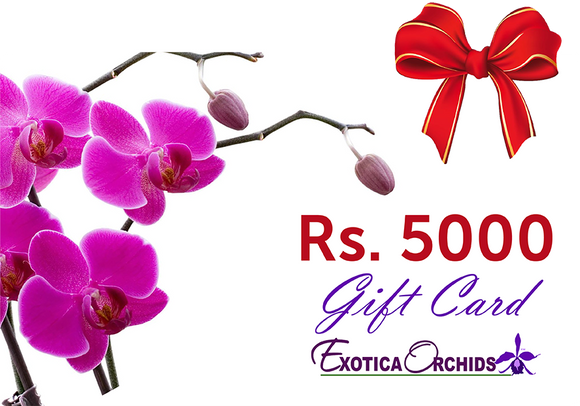 Gift Card of Rs.5000/-